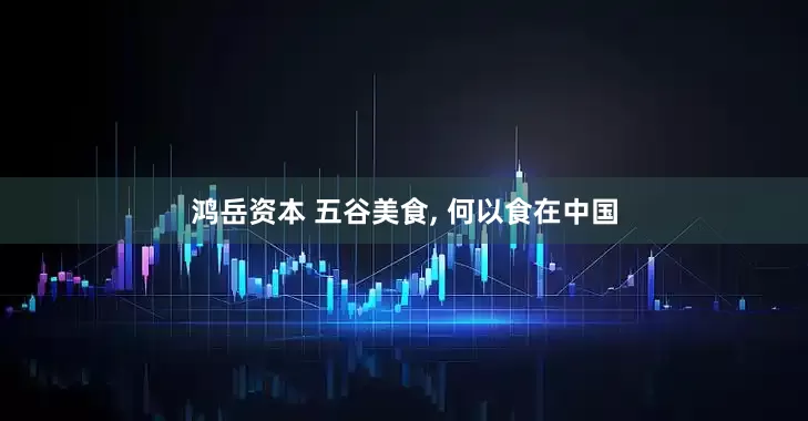 鸿岳资本 五谷美食, 何以食在中国