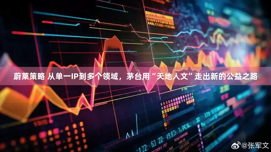 蔚莱策略 从单一IP到多个领域，茅台用“天地人文”走出新的公益之路