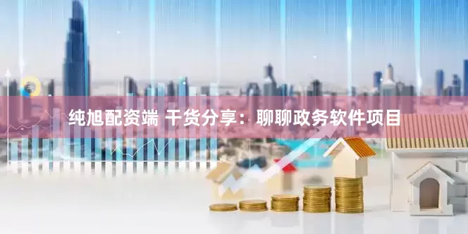 纯旭配资端 干货分享：聊聊政务软件项目