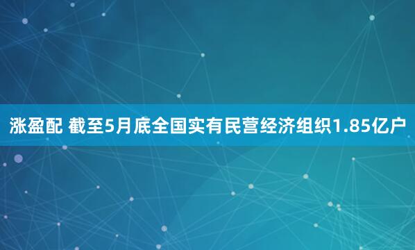 涨盈配 截至5月底全国实有民营经济组织1.85亿户
