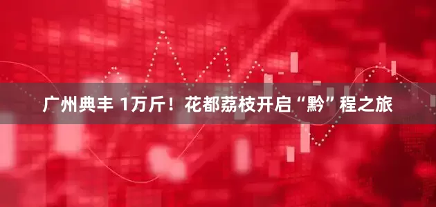 广州典丰 1万斤！花都荔枝开启“黔”程之旅