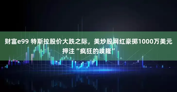 财富e99 特斯拉股价大跌之际，美炒股网红豪掷1000万美元押注“疯狂的埃隆”