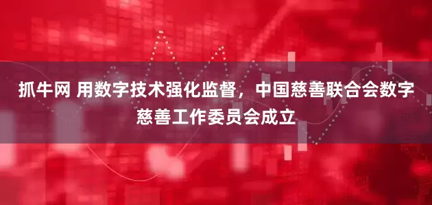 抓牛网 用数字技术强化监督，中国慈善联合会数字慈善工作委员会成立
