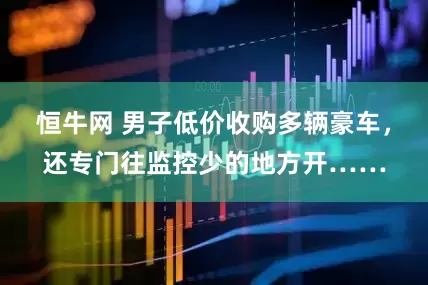 恒牛网 男子低价收购多辆豪车，还专门往监控少的地方开……