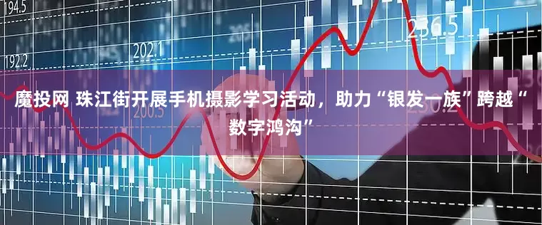 魔投网 珠江街开展手机摄影学习活动，助力“银发一族”跨越“数字鸿沟”