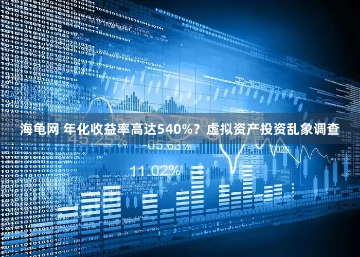海龟网 年化收益率高达540%？虚拟资产投资乱象调查