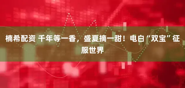 楠希配资 千年等一香，盛夏摘一甜！电白“双宝”征服世界